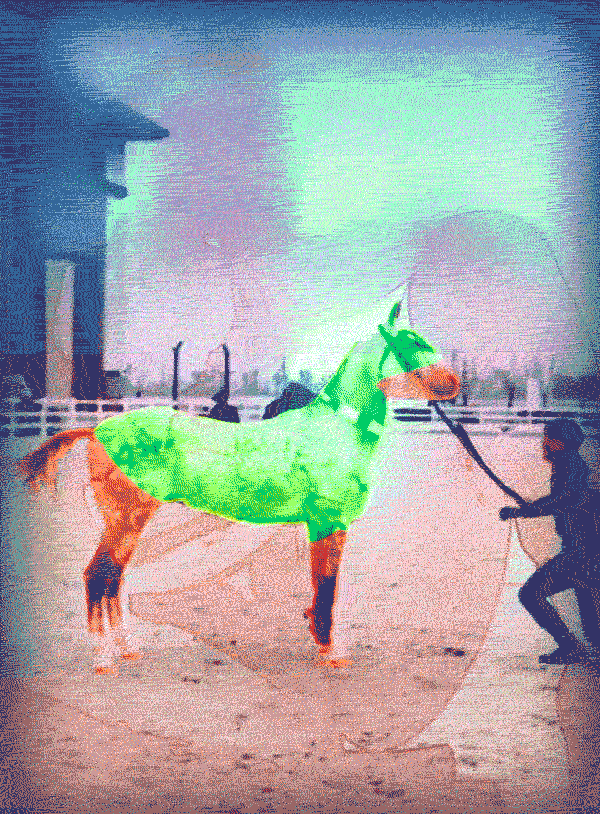 unicornio